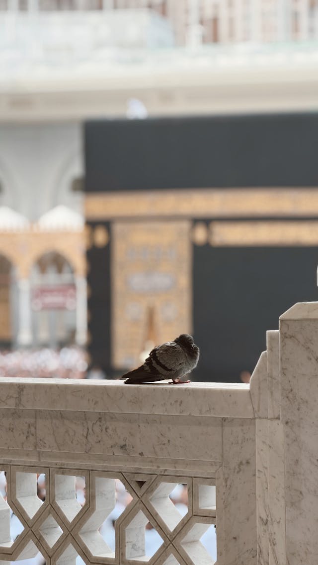 Last Night in Makkah: Final Tawaf & a Fall
